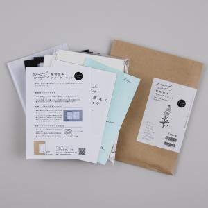 日本ヴォーグ社 植物標本スターターキット トライアル