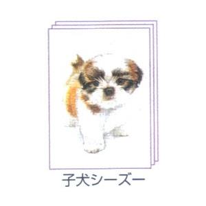 塗り絵物語 犬たち猫たち編 子犬 シーズー｜yumegazai