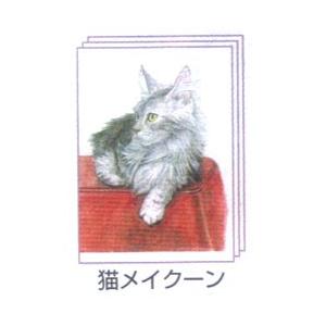 塗り絵物語 犬たち猫たち編 猫 メイクーン｜yumegazai