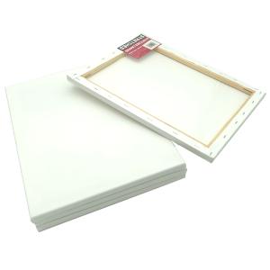 張りキャンバス　12　F,P,M　クレサン　10枚セット　キャンバス クレサンジャパン 張りキャンバス F10号 530×455mm ポリエステル35