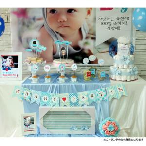 韓国 トルチャンチ トルチャビセット 8種(お盆なし) 1歳 誕生日 占い
