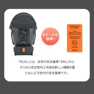 サポートレッグ★超広いサンシェード R129適...の詳細画像5
