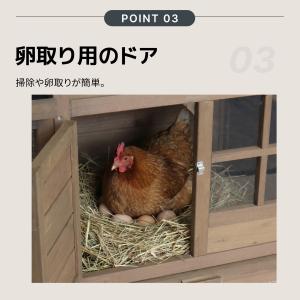 【大型無垢材】鶏ケージ 4-6羽用 ペットケー...の詳細画像4