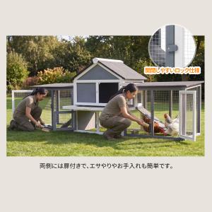 新作特別価格★鶏ケージ 6-8羽用 天然木 鶏...の詳細画像2