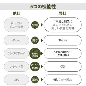 人工芝 ロール 幅2m×長さ10m リアル人工...の詳細画像2