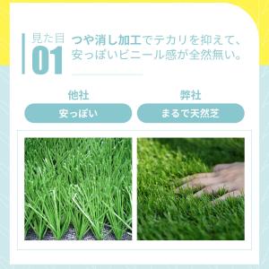 人工芝 ロール 幅2m×長さ10m リアル人工...の詳細画像5