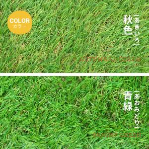 人工芝 ロール 1m×10m 高密度47万本/...の詳細画像1