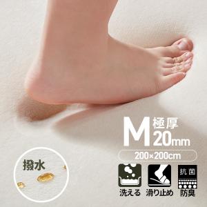 【期間限定値下げ】【新色】ラグ 極厚20mm 200×200cm 厚手 ラグマット 防ダニ 滑り止め 洗える 防カビ 防音 角型撥水 床暖房 おしゃれ 北欧 秋 冬