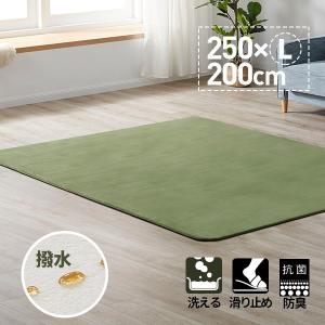 【2000円で大放出】ラグ ラグマット 洗える おしゃれ 丸洗い 200×250cm 3畳 カーペット ラグ 北欧 ホットカーペット対応