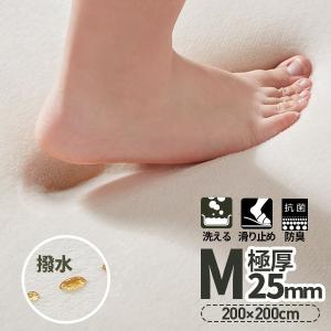 【赤字覚悟】ラグ 極厚25mm 200×200cm 厚手 ラグマット 防ダニ 滑り止め 洗える 防カビ 防音 角型撥水 床暖房 おしゃれ 北欧
