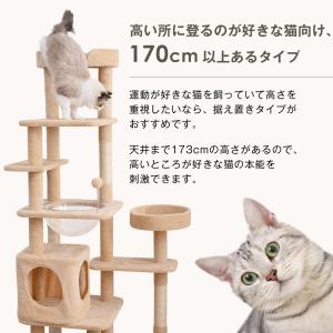 キャットタワー 据え置き 宇宙船付き 麻紐 ハ...の詳細画像4