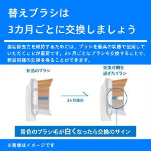 8本組 W2 フィリップス 替えブラシ HX6...の詳細画像3