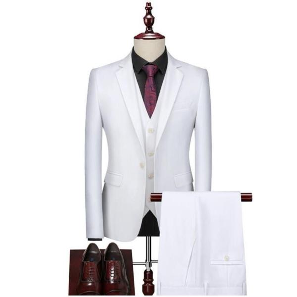 「即納」白スーツ メンズ カラースーツ 2点ステージ衣装 大人 結婚式 二次会 忘年会 新年会 ステ...
