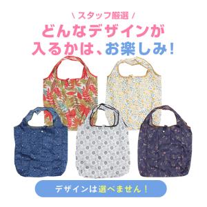 エコバッグ スタンダードサイズ レジバッグ サ...の詳細画像1