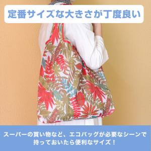 エコバッグ スタンダードサイズ レジバッグ サ...の詳細画像2