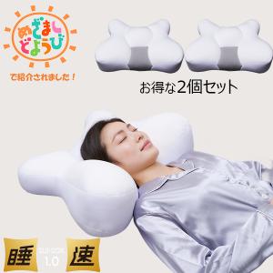 枕 まくら 睡速 1.0 2個セット 24X X型枕 洗える FLEFIMA 特許