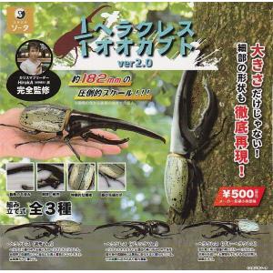 タランドゥスツヤクワガタ】 甲虫王者ムシキング ANNIVERSARY 20th