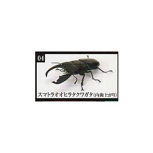 いきもの大図鑑 くわがた10 スマトラオオヒラタクワガタ(内歯下がり）1種単品