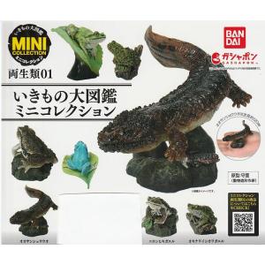 いきもの大図鑑 ミニコレクション 両生類01 全5種セット : ガチャポン