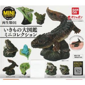いきもの大図鑑 かぶとむし07 ランキフェルオオニジダイコク1種単品