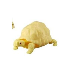 いきもの大図鑑 かめ 02 インドホシガメ(アルビノ)１種単品　ガシャポン