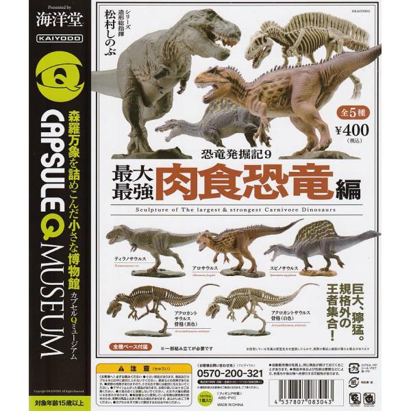 カプセルQミュージアム   恐竜発掘記9 最大最強 肉食恐竜編【台紙】POP