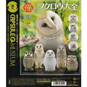 カプセルQミュージアム 福をよぶ フクロウ大全3【台紙】POP