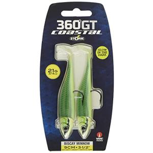 ラパラ ストーム 360ジーティー コスタル ビスケイ ミノー 9cm #GLS グローサンドイール