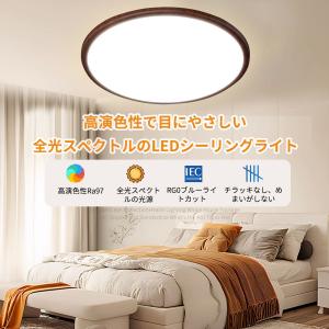 「赤字覚悟!クーポンで1980円」シーリングラ...の詳細画像1