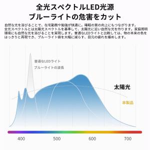 「赤字覚悟!クーポンで1980円」シーリングラ...の詳細画像3