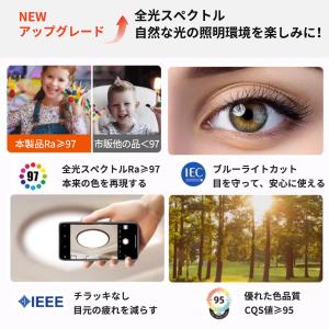 「赤字覚悟!クーポンで1980円」シーリングラ...の詳細画像4