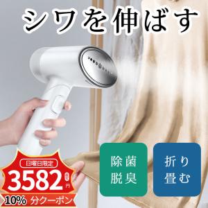 2023最新 アイロン スチーム スチームアイロン 衣類スチーマー