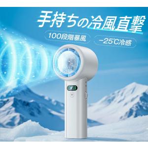 「ポイント+クーポンで3,184円」ハンディフ...の詳細画像1