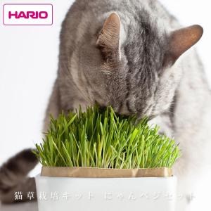 ハリオ  猫草栽培キット にゃんベジ セットN おしゃれ 人気｜yumeoffice