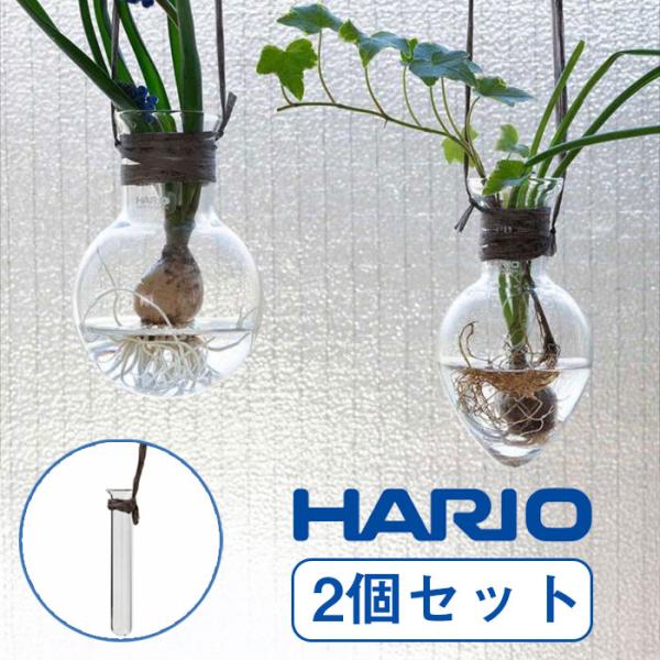 (セット商品) ハリオサイエンス 吊り下げる花瓶 (しずく+まる+ガラス管) 3個セット 小さめ 植...