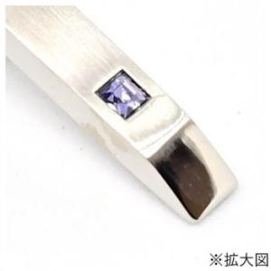 SWANK(スワンク) クリスタルガラスのタイバー(タンザナイト) T0138