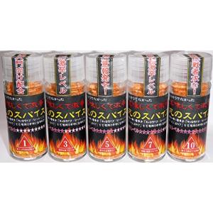 未来 お得セット辛さ1+3+5+7+10の計5種類×各1本＝合計5本セット