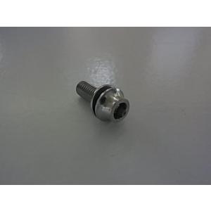 ADEPT AR5 ステンレス ボルト M5x13mm
