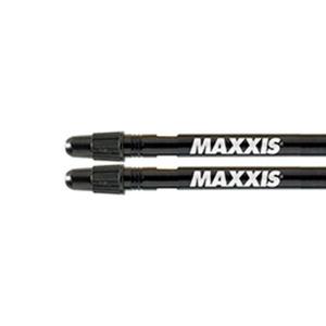 SCHWALBE (シュワルベ) バルブエクステンション２個入り ブラック 30mm [並行輸入品] SCHWALBE (シュワルベ) バルブエクステンション2個入り
