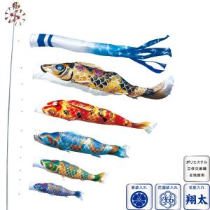 鯉のぼり 庭 園用 5m6点セット 金銀宝船鯉 こいのぼり ポール別売り