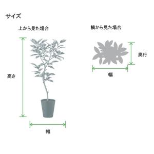 人工観葉植物 ライプオリーブ 180 ポット付...の詳細画像2