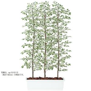 人工観葉植物 ベンジャミナスターライト パーティション 200 natural ポット付き 高さ200cm （P61-91612) （代引き不可）