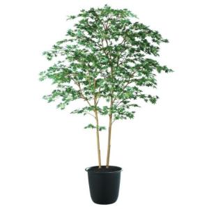 人工観葉植物 ヤマモミジ株立 180 GREEN FST ポット付き 高さ180cm （P122-91763) （代引き不可）