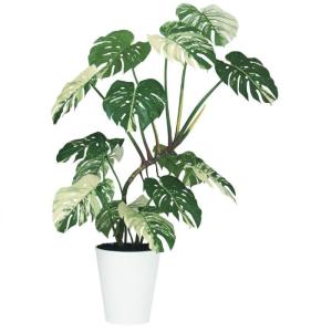人工観葉植物 ユッカ ロストラータ ポット 120 （1個入り） 991840