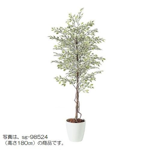 人工観葉植物 ベンジャミナスターライト 150 natural ポット付き 高さ150cm （P57...