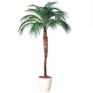 神戸花物語 メーカー直送｜人工観葉植物 大型 フェニックス