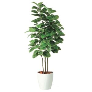 人工観葉植物 アルテシマ 株立 FST 200 ...の商品画像