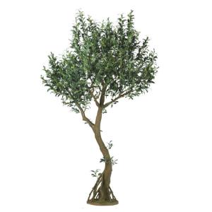 人工観葉植物 ライプオリーブ コアッド 230 ポット付き 高さ230cm （P17-99369) （代引き不可）
