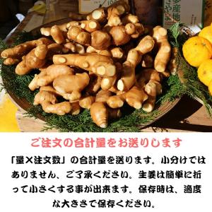 【産地直送 NHK世界はほしいモノにあふれてる...の詳細画像4