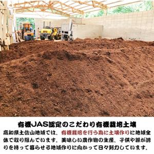 【産地直送 NHK世界はほしいモノにあふれてる...の詳細画像5